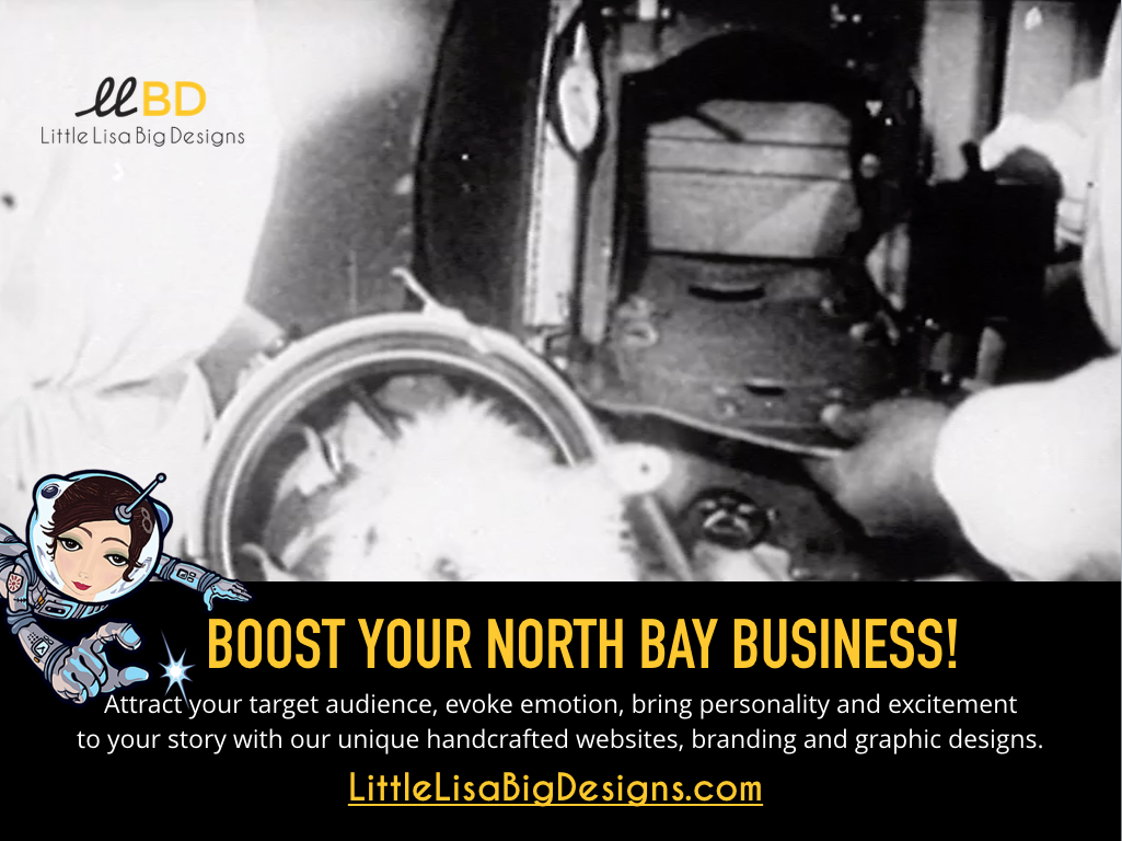 Boost-your-North-Bay-business.png